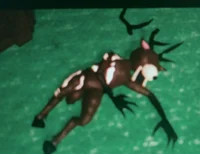 The Deer Is Hurt