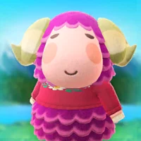 Stella the Sheep