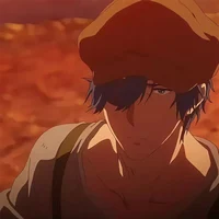 Gilbert Bugainvillea