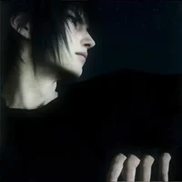 Noctis Lucis Caelum 