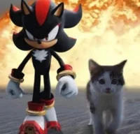 Shadow the hedgehog