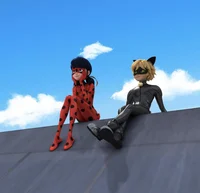 Ladybug and Cat Noir