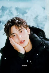 Kim Mingyu 