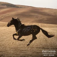 Ostwind 