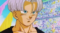 Trunks