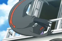 The Idiotic Salandit