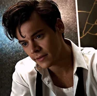 Harry Styles - AU