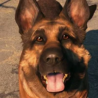 Dogmeat