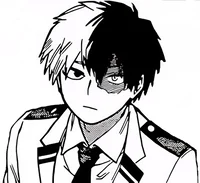 Shoto Todoroki 