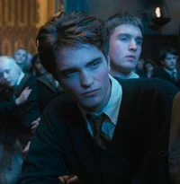 Cedric Amos Diggory 
