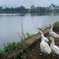 7 Haymitch Abernathy