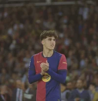 013 PAU CUBARSI