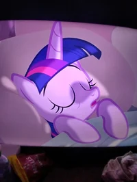 Princess twilight 