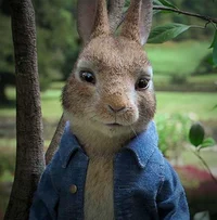 Peter Rabbit