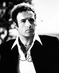 Sonny Corleone