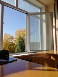 школа 11 класс