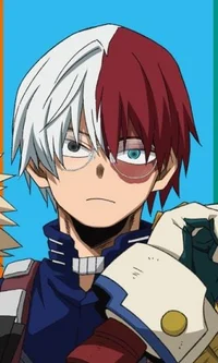 Shoto Todoroki 