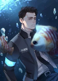 Conner RK800