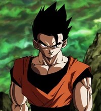 Son Gohan 
