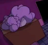 0-Catti