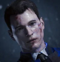 RK800 Conner