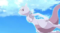 Mewtwo Comfrot 