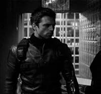 Bucky B