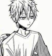 Teru Minamoto
