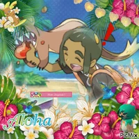 Hau - PKMN