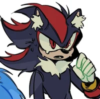 SHADOW T HEDGEHOG 