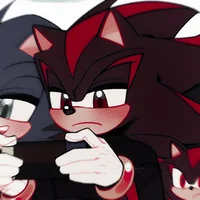 SHADOW T HEDGEHOG 