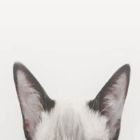 02 