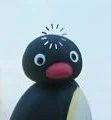 Pingu