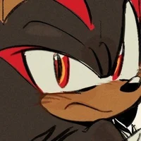 Shadow the hedgehog 