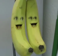 The Bananas - AO