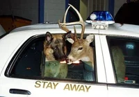 SAM AND DEAN