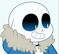 sans 