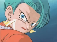Bulma Brief