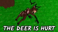 The Deer