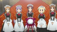 maid harem