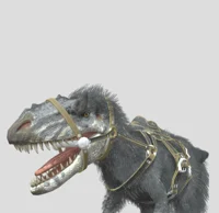 Pet yutyrannus Kai