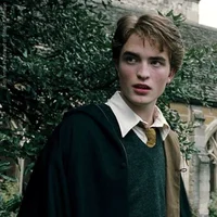 Cedric Amos Diggory 