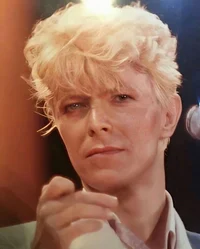 David Bowie