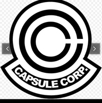 At Capsule Corp