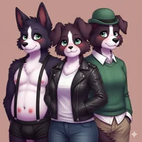 Border Collie Gang