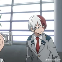 Shoto Todoroki