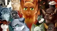 Warrior Cats RPG New