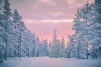 Winter Horrorland