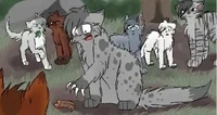 Warrior Cats RPG 
