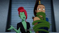 Poison ivy 